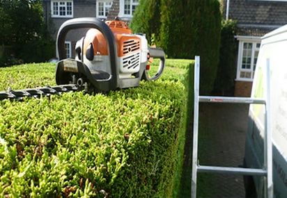 Hedge trimming West Vancouver Tree Service