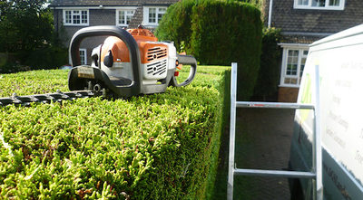 Hedge Trimming West Vancouver